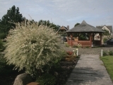 Altana